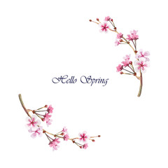 Obraz na płótnie Canvas Frame of two branches of flowering sakura. Background for wedding invitations, congratulations, messages, save date, cards.. Watercolor flowers and buds in the circle. Background for wedding