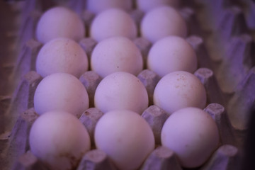 white eggs in a wooden box