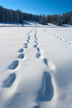 Italy/Veneto, Vicenza district, Altopiano dei Sette Comuni, Altopiano di Asiago, Asiago