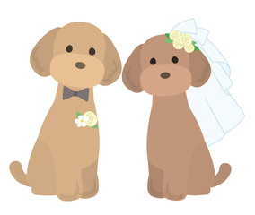 トイプードル　犬　結婚式　セット　イラスト