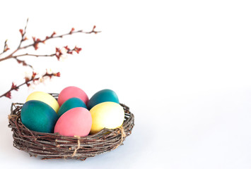 Easter composition with colored natural dyed eggs in nest and flowering branches on white background. Zero waste Easter concept. Copy space.