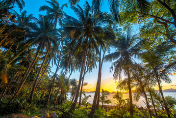 Obraz na płótnie Canvas Coastal Scenery of El Nido, Palawan Island, The Philippines, a Popular Tourism Destination for Summer Vacation in Southeast Asia, with Tropical Climate and Beautiful Landscape.