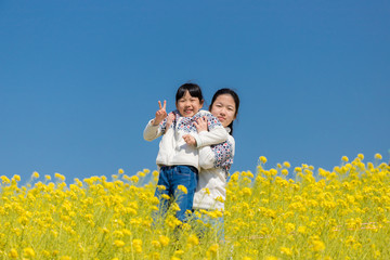 春の満開の菜の花畑で遊んでいる子供姉妹