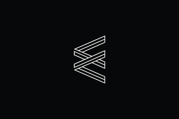 Minimal elegant monogram art logo. Outstanding professional trendy awesome artistic E EE initial based Alphabet icon logo. Premium Business logo White color on black background