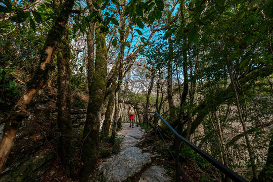 Imágenes de Khosta descubre bancos de fotos, ilustraciones, vectores y