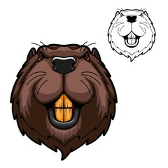 Beaver animal head vector mascot of hunting and sport design. Wild rodent mammal with bared teeth, red eyes and brown fur on angry muzzle. Canadian or American beaver symbol of hunter club, zoo, team © Vector Tradition
