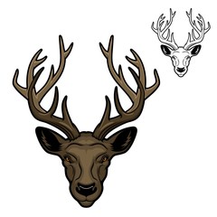 Deer with antlers mascot of vector animal head. Hunting, sport and zoo mascot of reindeer, wild herbivores mammal stag or doe with brown fur and large horns
