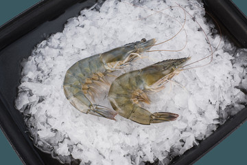 fresh shrimp on the ice background, top view, food background