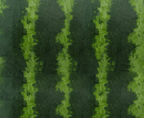 peel of watermelon for food background