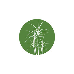 Obraz premium Sugar cane Logo Template vector symbol