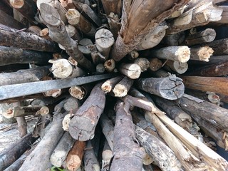 Logs for building house