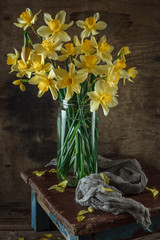 Bouquet of fresh yellow spring flowers of daffodils in different vases on an old wooden vintage background. Still life.