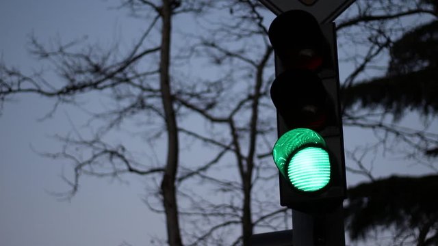 Traffic Light