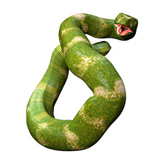 3D Rendering Viper Snake on White