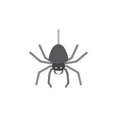 Spider. Flat color icon. Animal vector illustration