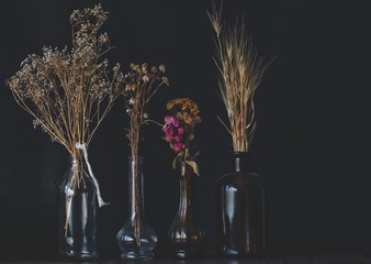 Hand picked, dried flower arrangement against black background. Dark, abstract image of four old, vintage, antique glass bottles and jars with dried wild flowers in them. Baby's breath chamomile rose - Powered by Adobe