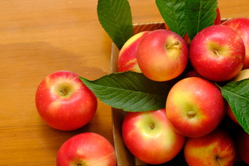 New Zealand apple on wooden background