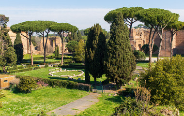 Following the coronavirus outbreak, the italian Government has decided for a massive curfew,...