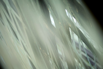 Bionische Fasern, Verbundstoffe aus Glas - und Kohlestofffasern, Anwendung  im Leichtbau