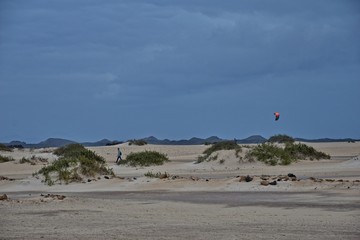 landscape from the Spanish Canary Island Fuerteventura with dunes and the ocean