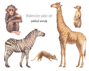 Watercolor safari animals illustration. Hand drawn set of animals isolated on white background. African fauna: giraffe, zebra, meerkats, monkey - obrazy, fototapety, plakaty