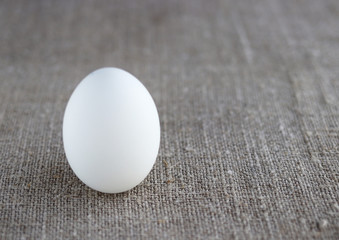 zero waste eco-friendly chicken egg on burlap