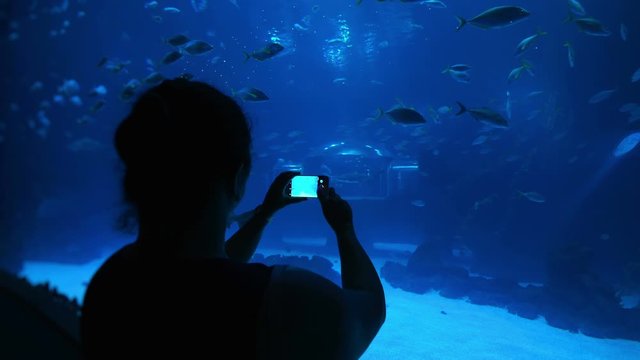Woman taking picture of fish in water in 4k slow motion 60fps
