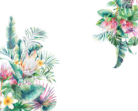 Watercolor interior wallpaper with tropical plants. Palm tree branches, banana leaves, monstera plant, protea and frangipani flowers background design.