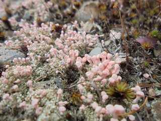  small world