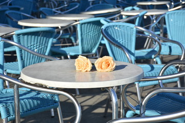 Venezia piazza san marco tipico bar con tavolini e rose