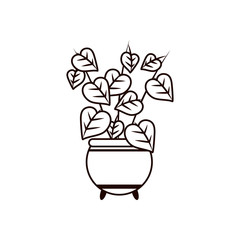 plant inside pot line style icon vector design