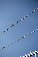 Two rows of Barbed Wire in front of blue sky.