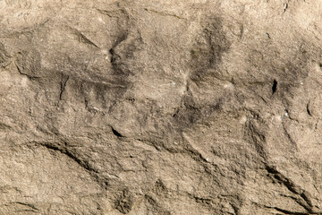 Texture wall