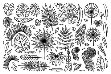 vector big exotic leaves set. coloring book page