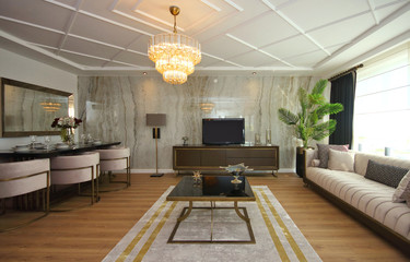 Stylish and Modern Living Room interior Design