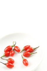 fresh goji berries in a white bowl isolated on a white background with copy space