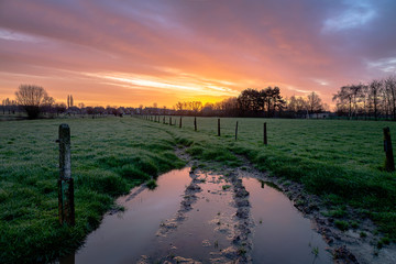 Colorful sunrise after a cold windy night in the meadows in Menen