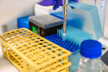 Preparing sample box with test tubes by scientist