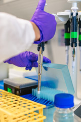 Female hands in latex gloves holding test tube