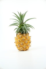 fresh pineapple fruit isolated on a white background with copy space