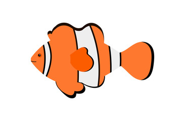 Vector cartoon style illustration with clown fish or anemone fish.