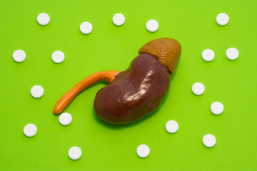 Anatomical realistic figure or model of human or animal kidney on green background, surrounded by white tablets or pills, which are arranged in polka-dot ornament. Photos for use in medicine, urology