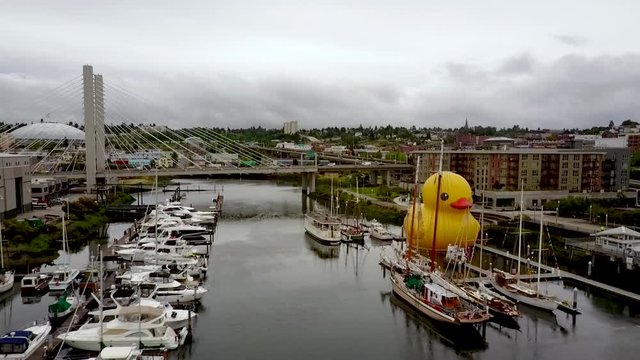 Several shipping vessels and a giant rubber duck floating in Thea Foss Waterway in Tacoma, Washington, USA - Long shot