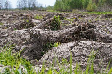 Fototapeta na wymiar Preparation of fields in the spring. Plowed field.