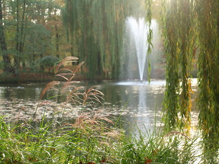 Fontanna w parku, zamglona. © adamraga