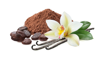 Fototapeta na wymiar Cocoa powder, roasted beans and vanilla with flower isolated on white background