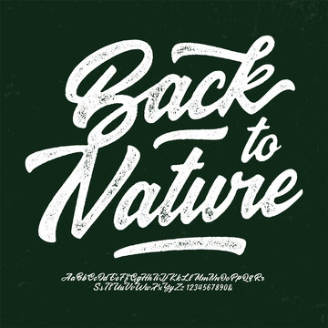 "Back to Nature". Original Brush Script Font. Retro Typeface. Vector Illustration.