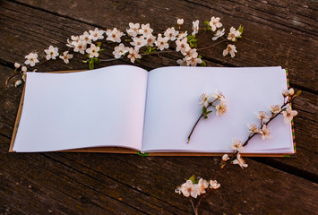 an open notebook with white blank pages lies on an old wooden table, on one of the pages are blooming tree twigs