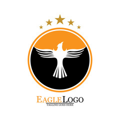 Falcon Eagle Bird Logo Template Vector Icon