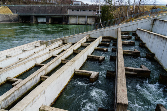 Fischtreppe an der Lechstaustufe 18 bei Kaufering, m&auml;chtige Betonverbauungen